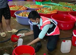 8 vu thuc pham ban chan dong nam 2019 8 vu thuc pham ban chan dong nam 2019