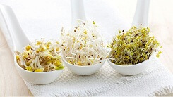 Mang thuc pham sach ve nha chi bang thao tac cuc ky don gian