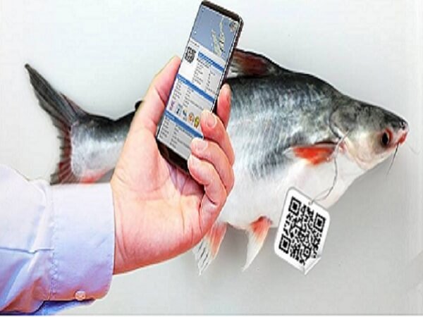 Hai-san-cung-can-dan-tem-truy-xuat-nguon-goc