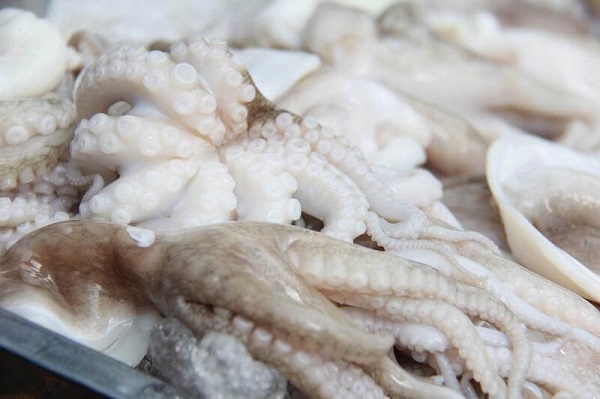 Nhan-biet-bach-tuoc-tuoi