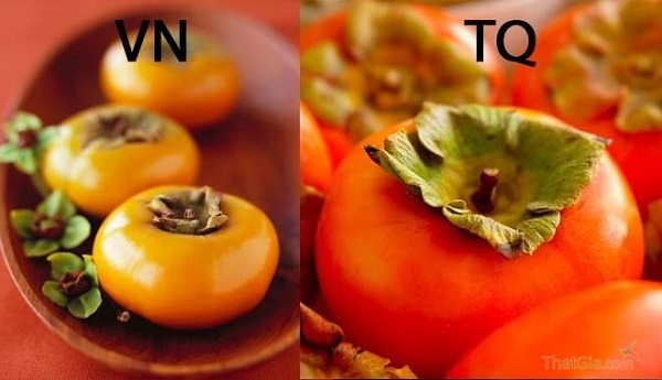 Phan-biet-hong-Trung-Quoc-Viet-Nam