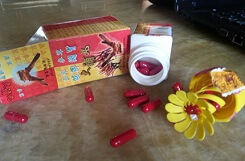 Trùng thảo sâm nhung được ví như thần dược tăng cân