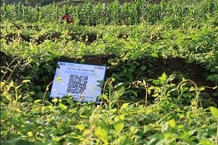 Phát triển truy xuất nguồn gốc qua ứng dụng công nghệ mới