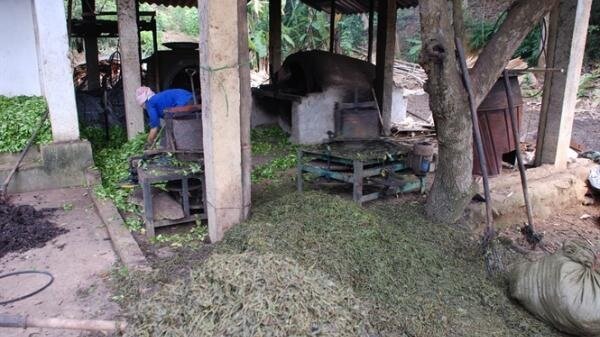 San-xuat-che-ban-gay-thiet-hai-lon-cho-doanh-nghiep