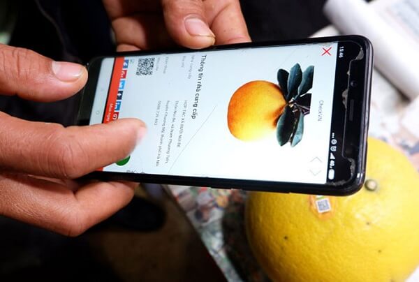 Truy-xuat-nguon-goc-dang-la-yeu-cau-bat-buoc-khi-doanh-nghiep-muon-xuat-khau-nong-san-ra-thi-truong-nuoc-ngoai