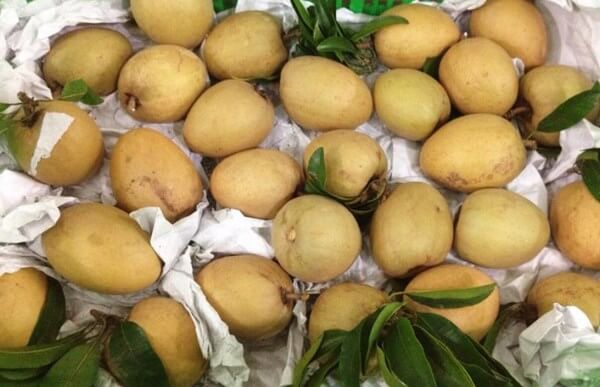 Truy-xuat-nguon-goc-hong-xiem-dam-bao-suc-khoe Truy-xuat-nguon-goc-hong-xiem-dam-bao-suc-khoe