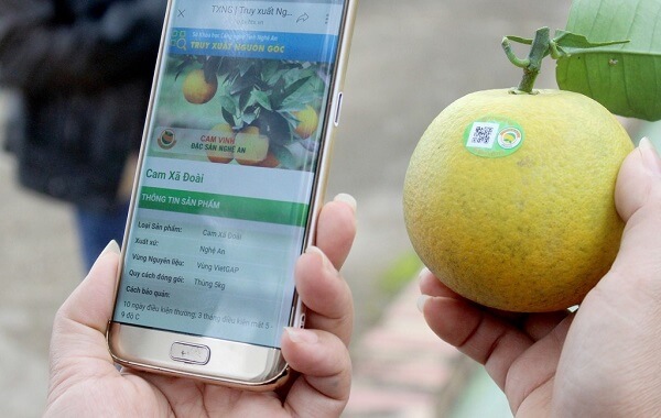 Truy-xuat-nguon-goc-trai-cay