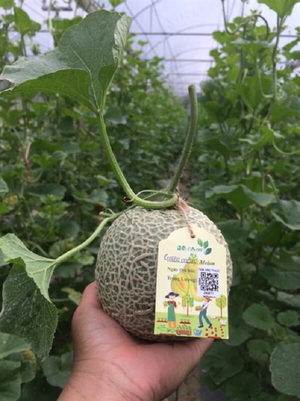 Xac-thuc-nguon-goc-san-pham-nong-san-qua-tem-truy-xuat-QR-code