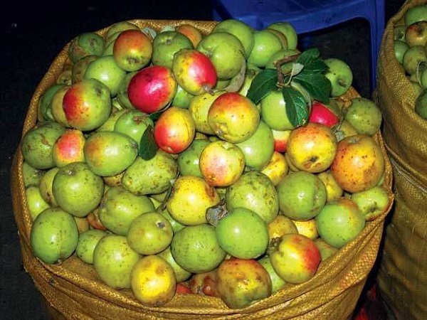 cach-nhan-biet-tao-meo-Trung-Quoc