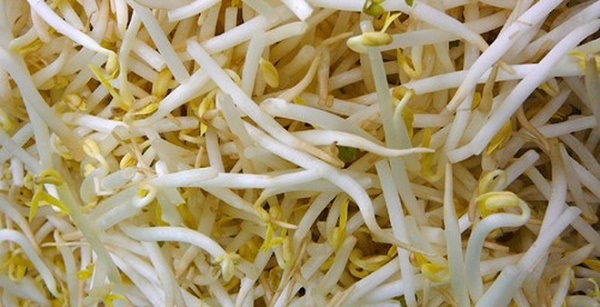 Nhận biết giá đỗ nhiễm hóa chất