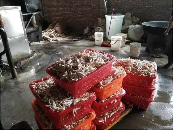 hang-tan-chan-ga-khong-ro-nguon-goc-bi-thu-giu