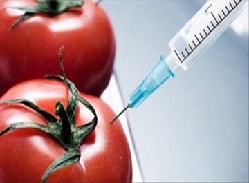 Hoa chat nao an nap trong thuc pham khong ro nguon goc?