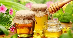 Mật ong món quà tuyệt vời cho sức khỏe