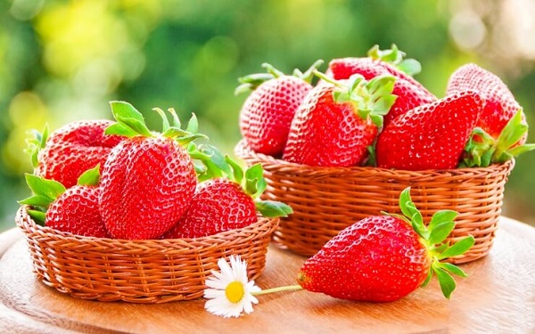 nhan-biet-dau-tay-Da-lat