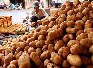 Nông dân Đà Lạt  bất lực  trước nông sản Trung Quốc