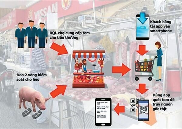 quy-trinh-truy-xuat-nguon-goc-cho-thit-heo