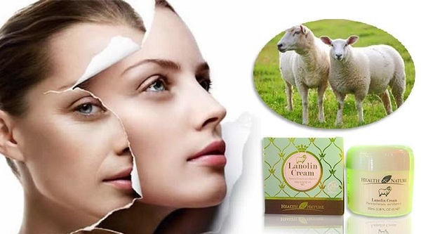 Muốn biết thông tin nhà sản xuất, giá cả trước khi mua nhau thai cừu phải làm thế nào? Muốn biết thông tin nhà sản xuất, giá cả trước khi mua nhau thai cừu phải làm thế nào?