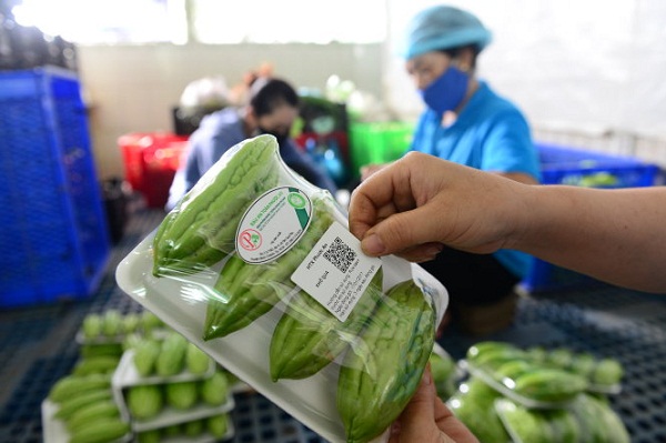 Tem truy xuất thông tin QR code - trợ thủ đắc lực trong kinh doanh Tem truy xuất thông tin QR code - trợ thủ đắc lực trong kinh doanh