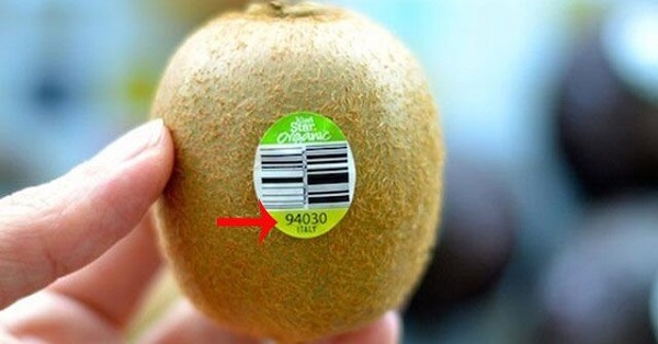 thuc-hien-ma-hoa-thong-tin-cho-ma-vach-trai-cay thuc-hien-ma-hoa-thong-tin-cho-ma-vach-trai-cay