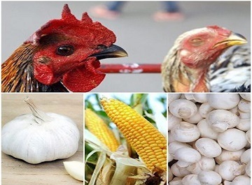 Top 7 loai thuc pham Trung Quoc nguoi dung nen tranh xa