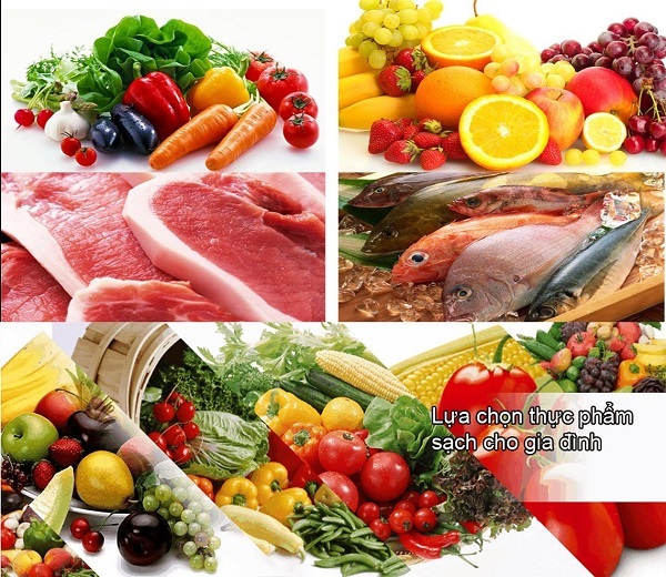 Triển khai tem truy xuất nguồn gốc cho tất cả các sản phẩm